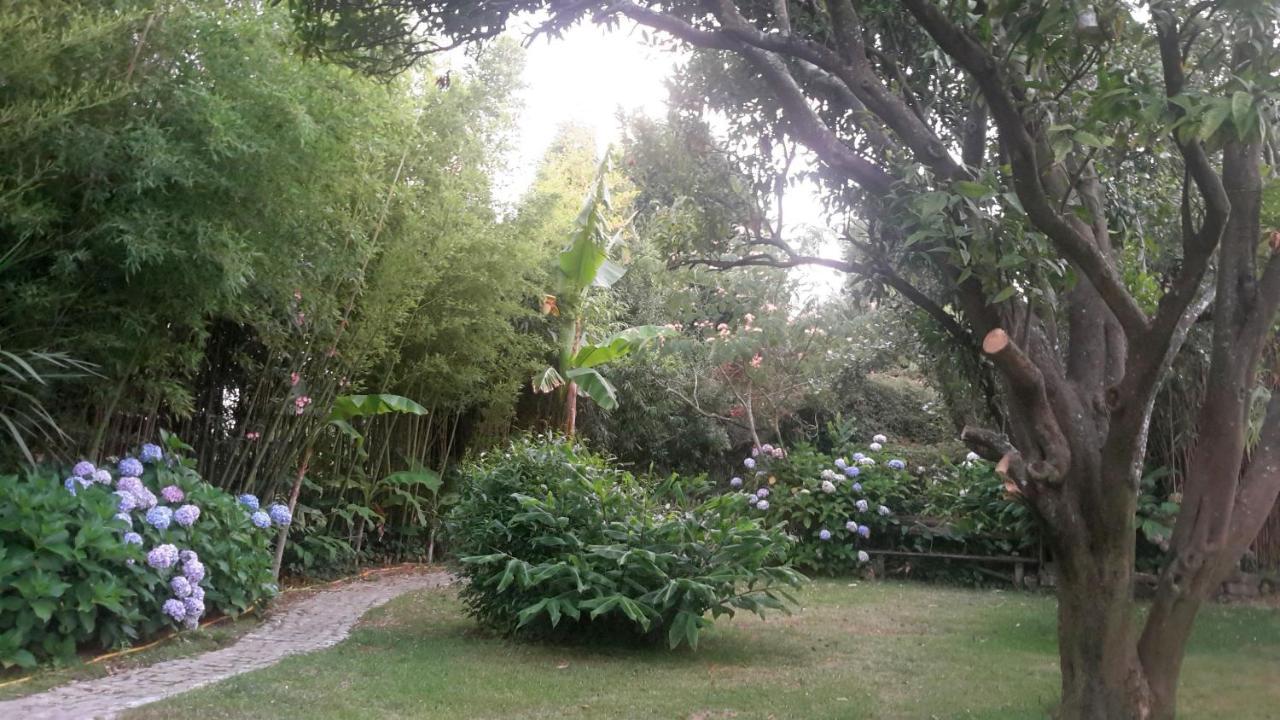 Casa 3 Aguias Bed & Breakfast Aveiro Dış mekan fotoğraf