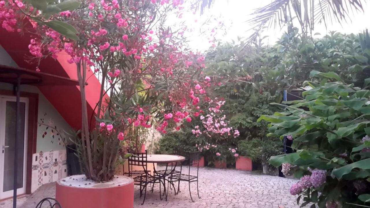 Casa 3 Aguias Bed & Breakfast Aveiro Dış mekan fotoğraf