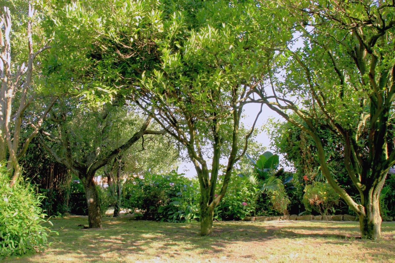 Casa 3 Aguias Bed & Breakfast Aveiro Dış mekan fotoğraf